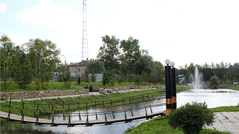 Фото: пресс-служба администрации городского округа Шаховская
