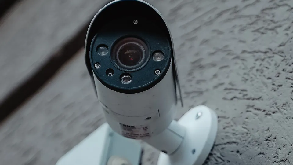 Фото: пресс-служба губернатора и правительства Московской области