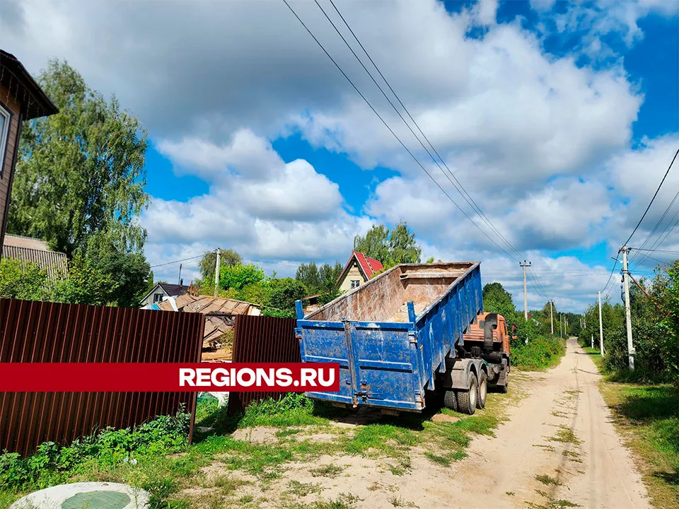 Фото: Светлана Плотникова