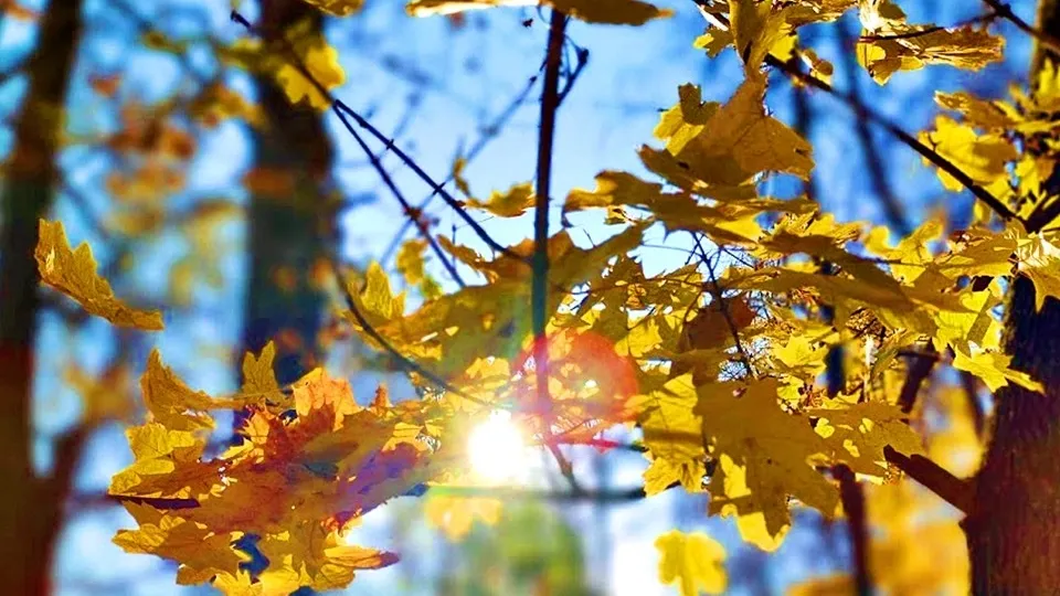 Фото: REGIONS/Алексей Селиверстов