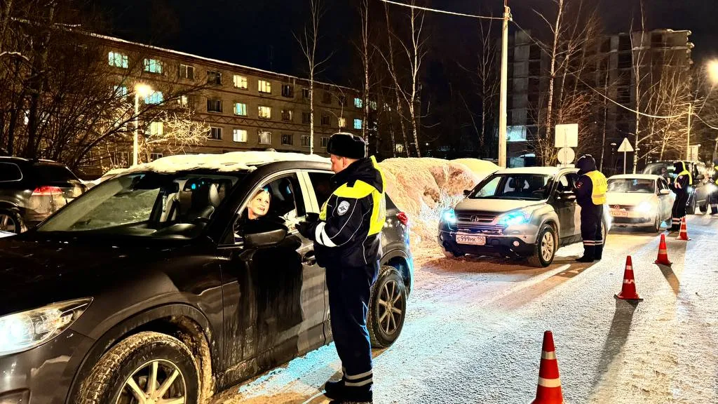 Фото: Егорьевский отдел Госавтоинспекции