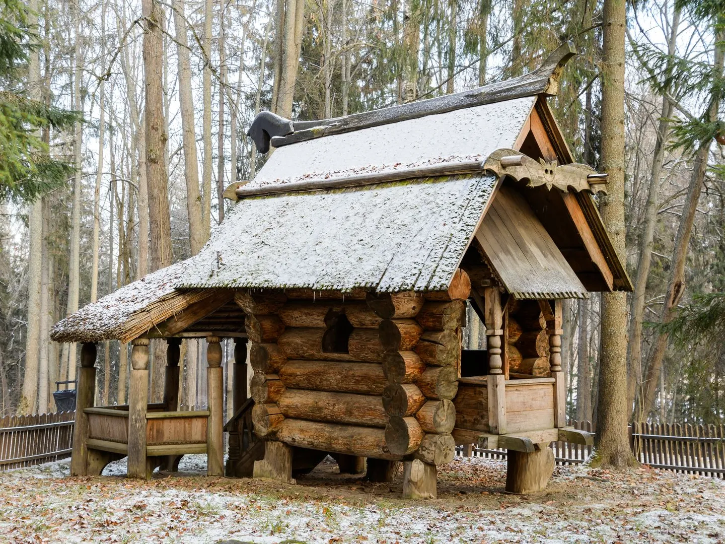 Фото: медиасток.рф