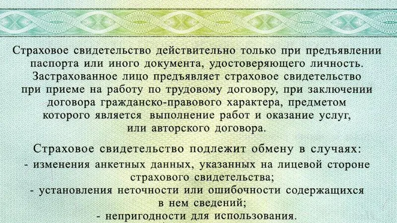 СНИЛС без строчки о смене пола начали выдавать в России