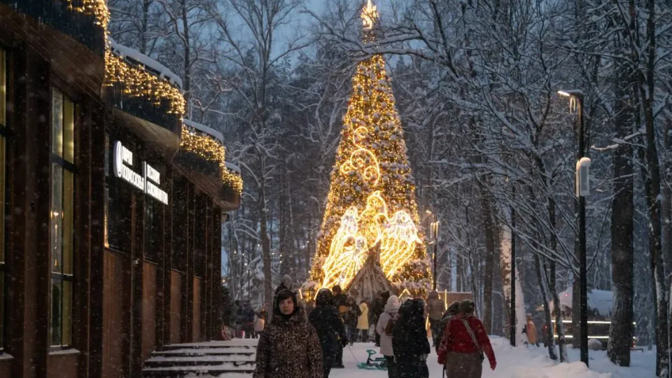 Фото: пресс-служба администрации м.о. Истра