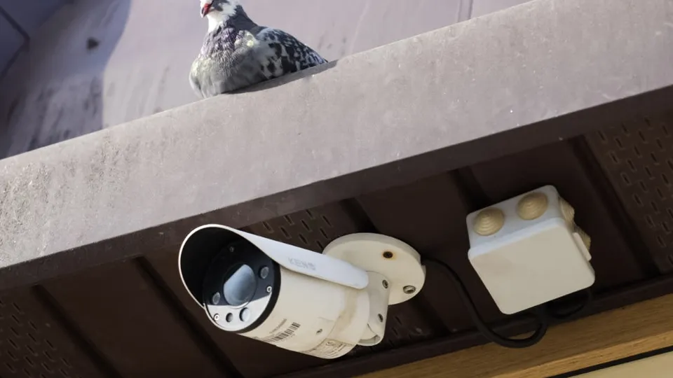 Фото: МедиаБанк Подмосковья/Дмитрий Зайчиков