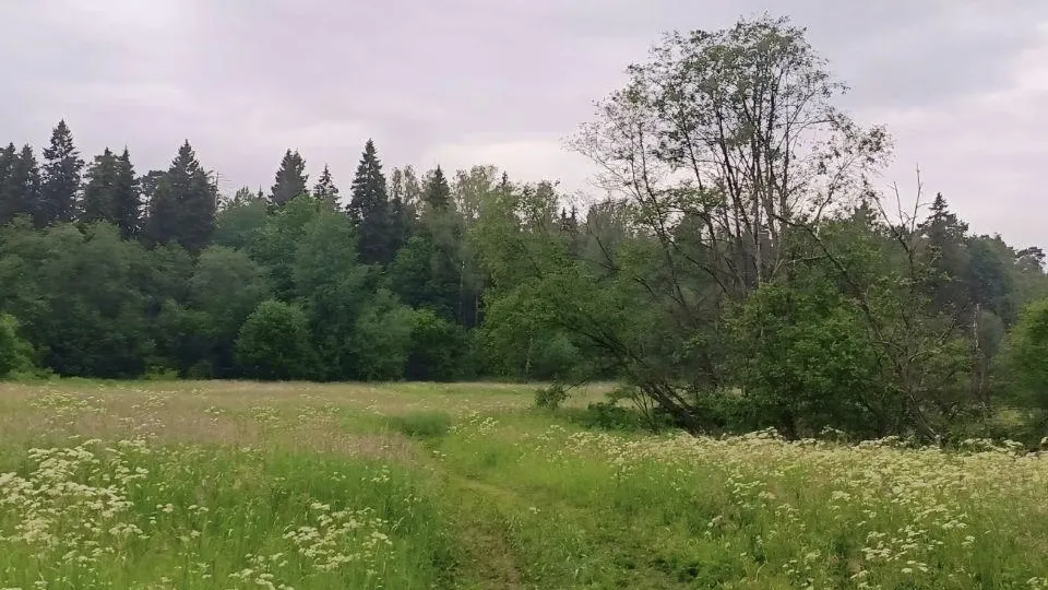 Фото: Краеведческое общество