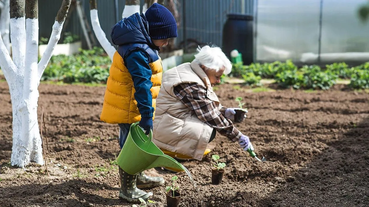 istockphoto.com/Julia Klueva