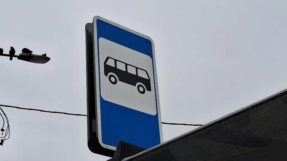 Фото: МедиаБанк Подмосковья/Валерия Тингаева