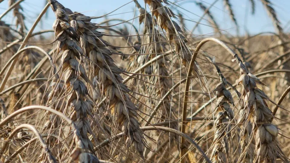 Фото: REGIONS/Наталия Надточая