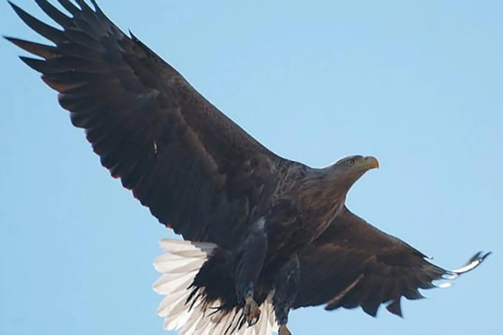 Фото https://vk.com/pressmo.