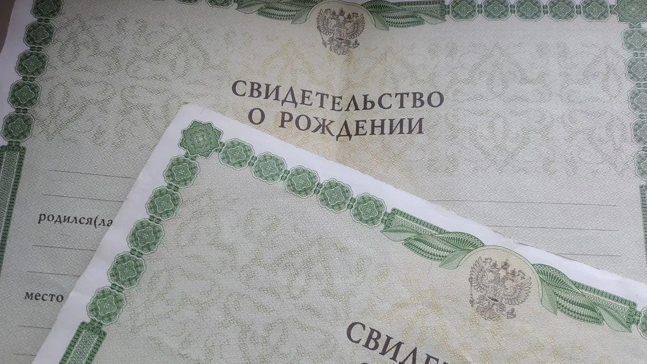 Фото: Татьяна Синельникова