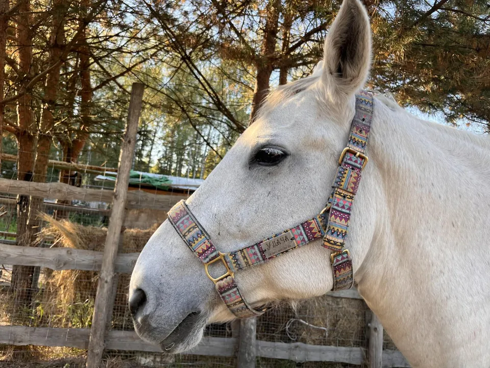 Фото: МедиаБанк Подмосковья/Ангелина Стельмух