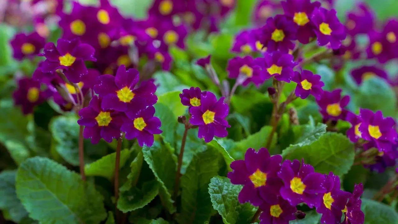 REGIONS/Наталия Надточая