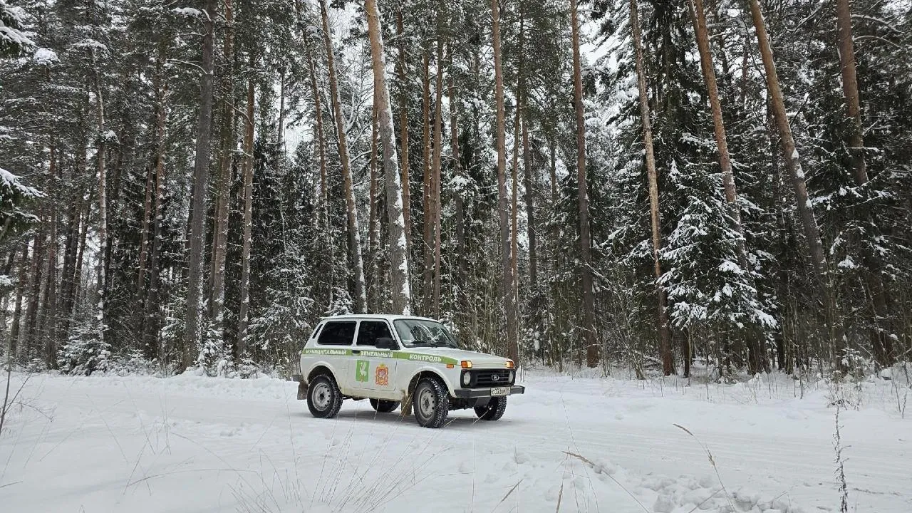 Подмосковье признано лидером в области земельного контроля