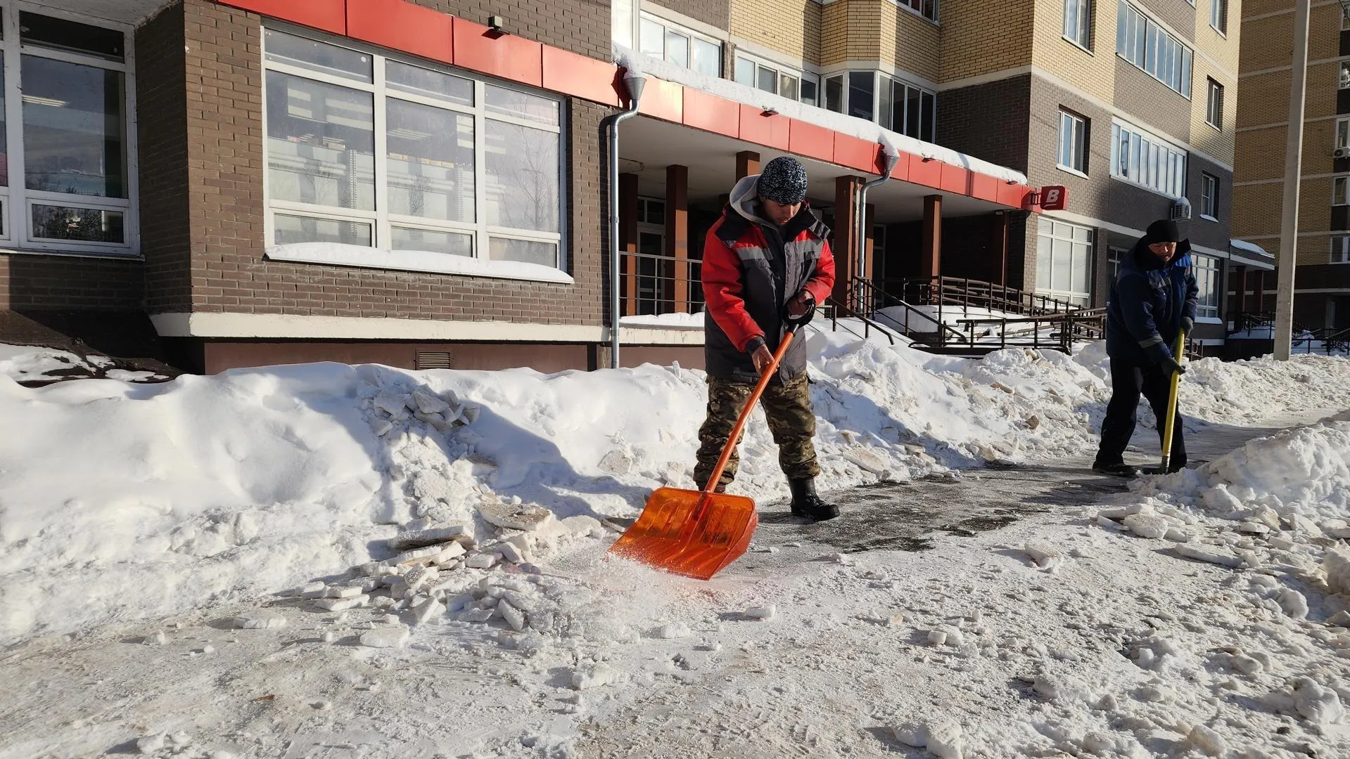 Валерия Тингаева