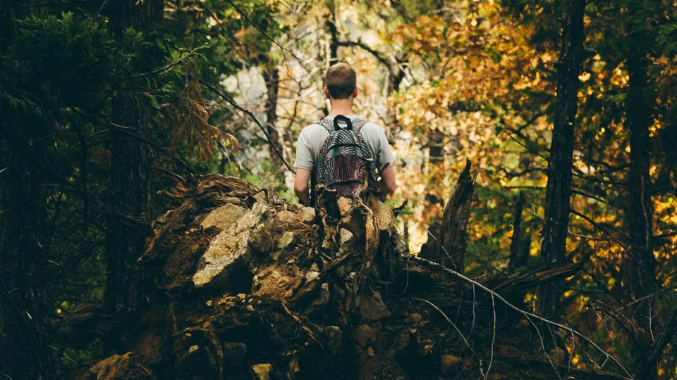 Фото: unsplash.com