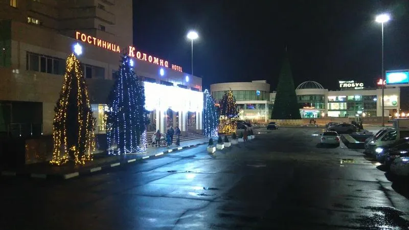 Неновогоднее освещение обошлось Коломне в 26 тыс