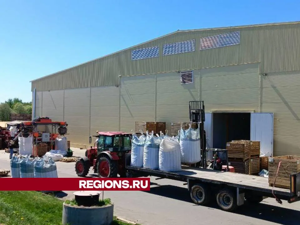 Фото: Евгений Рой