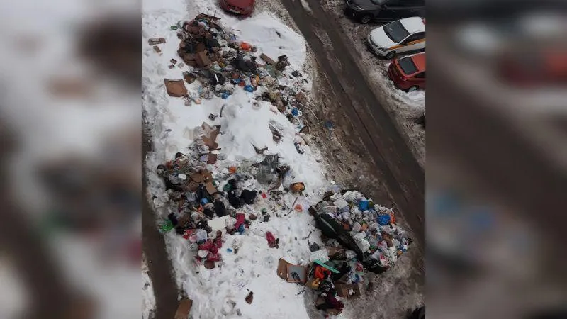 Горы мусора и крысы под окнами возмутили жителей современного жилого комплекса в Мытищах