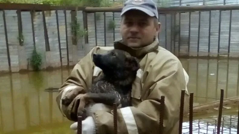 МБУ «Пушкинский АСО»