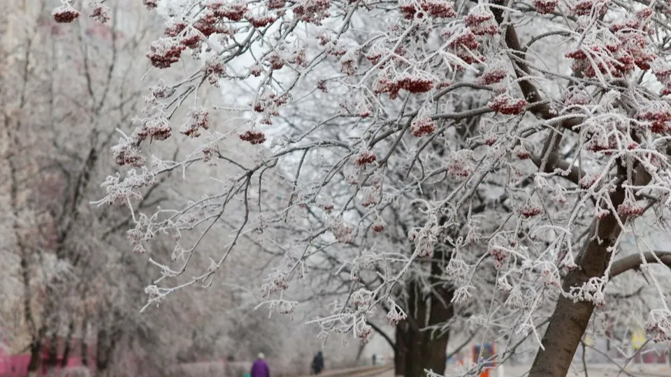 Фото: медиасток.рф