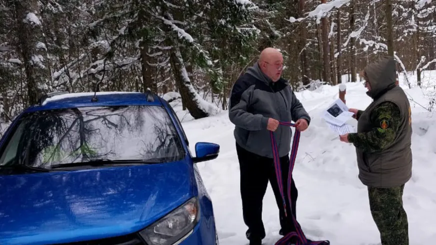 Фото: пресс-служба Комитета лесного хозяйства Московской области