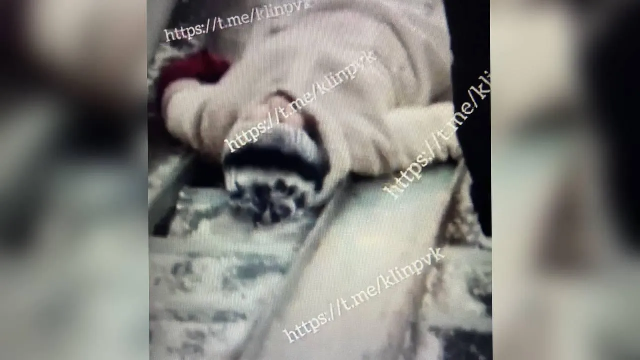 фото: соцсети