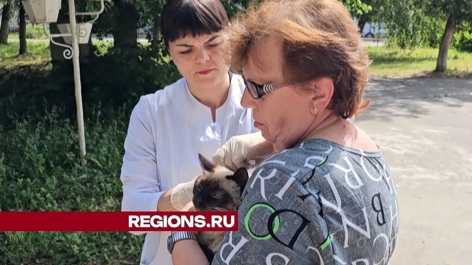 Фото: REGIONS/Александр Дрожжин