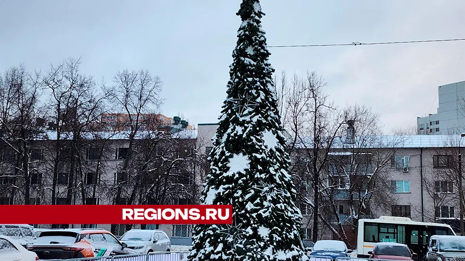 Фото: Роман Савельев