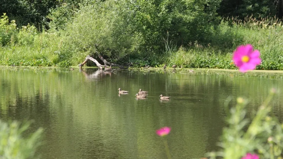 Фото: REGIONS/Василий Тремасов
