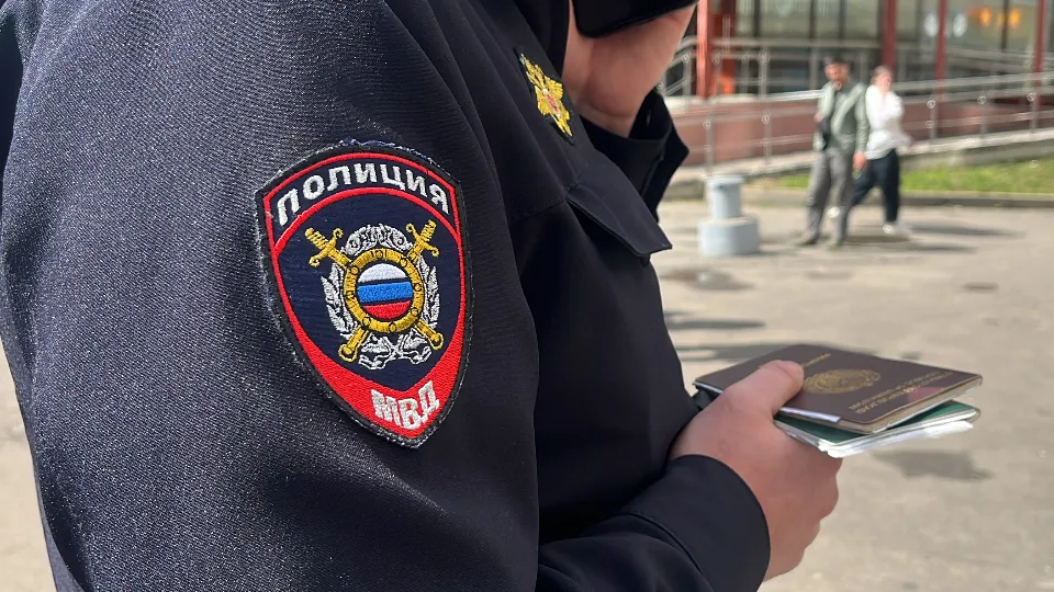 Фото: МедиаБанк Подмосковья/Елизавета Приймак