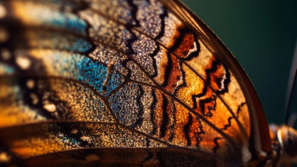 Фото: freepik.com