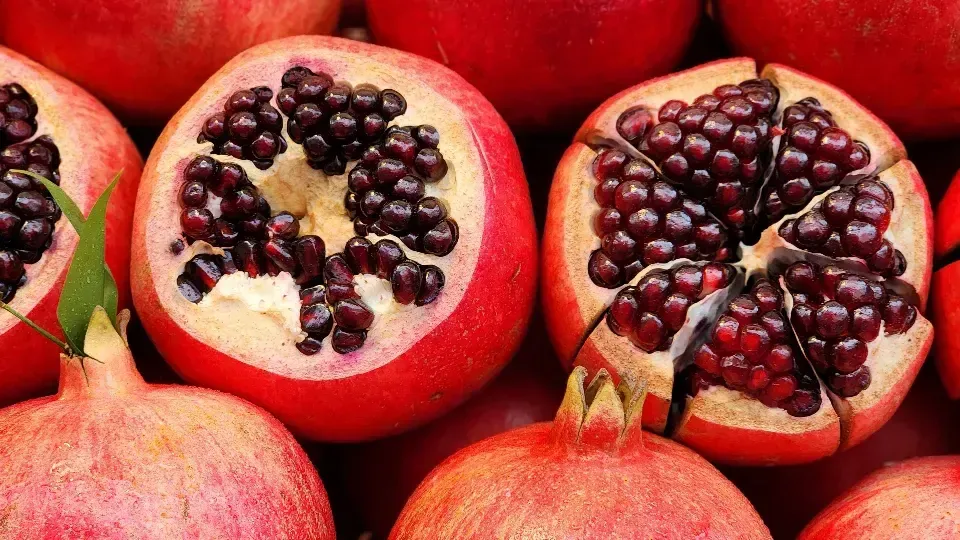 МедиаБанк Подмосковья/Ксения Пашуто