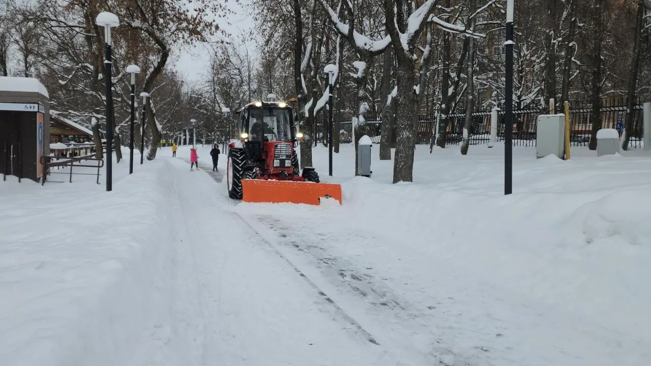 REGIONS/Мария Шигорева