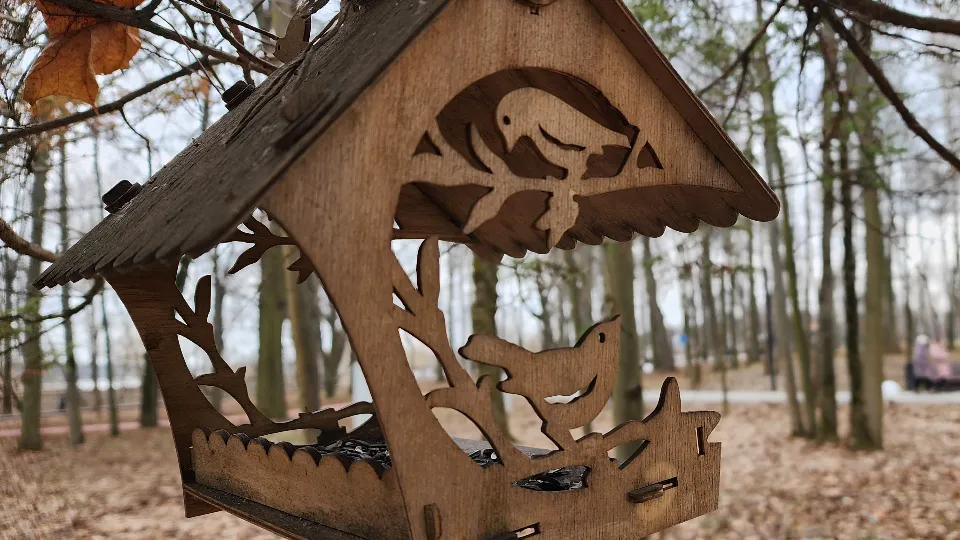 Фото: МедиаБанк Подмосковья/Валерия Тингаева