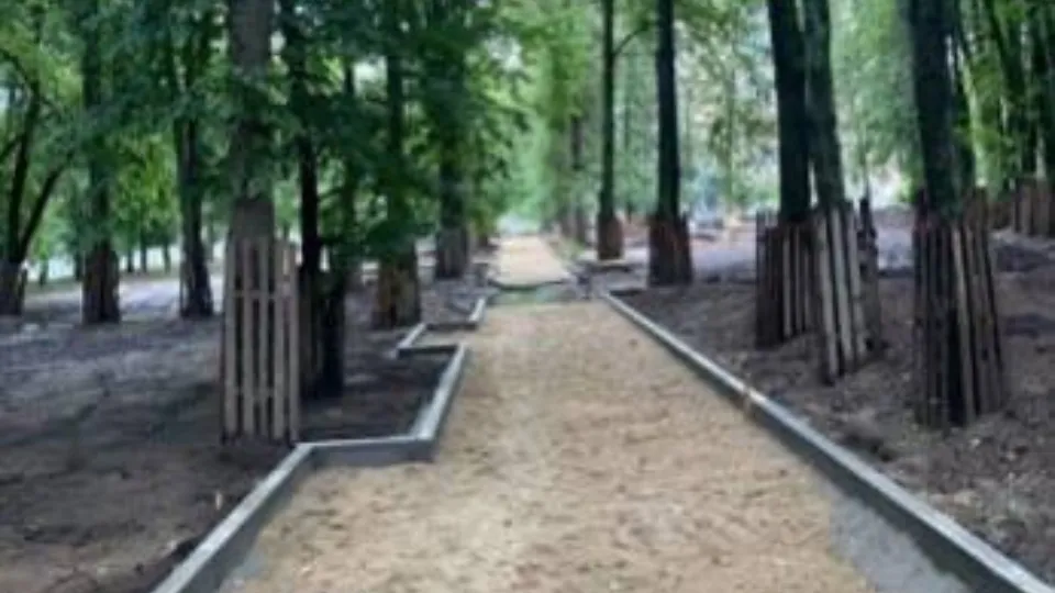 Фото: пресс-служба администрации г.о. Балашиха