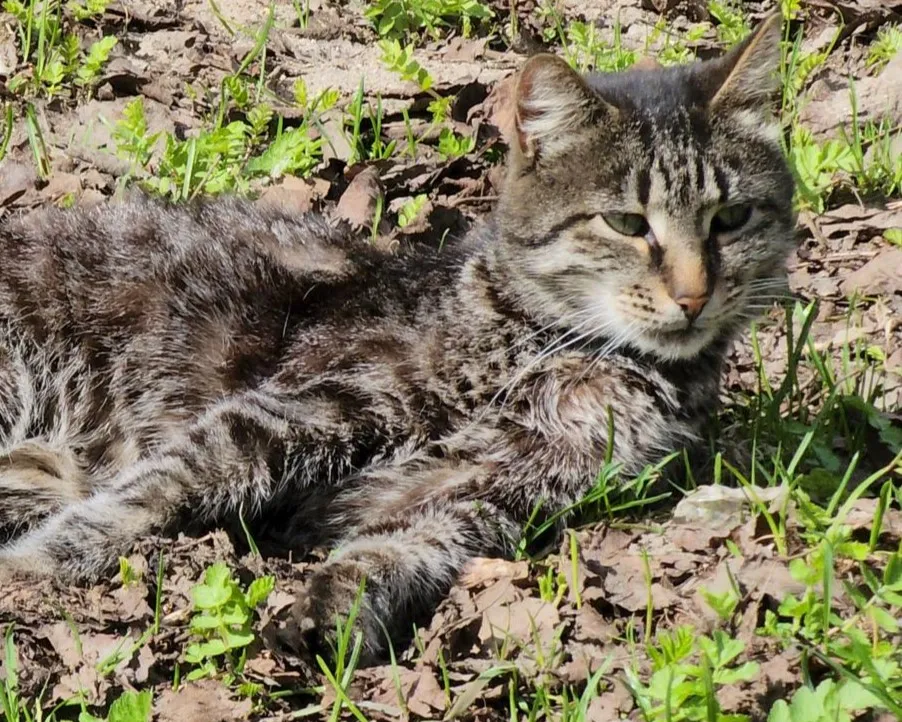 Фото: Екатерина Данилина