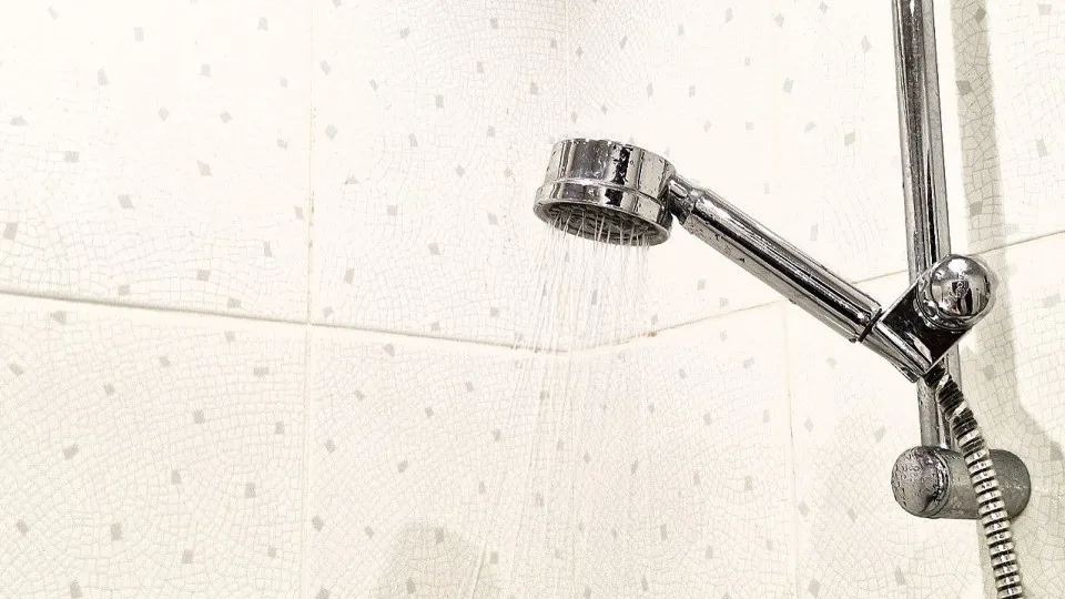 Фото: МедиаБанк Подмосковья/Иван Петрушин