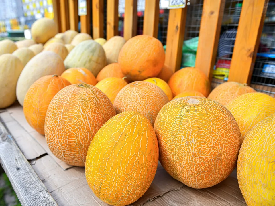 Фото: пресс-служба администрации г.о. Химки