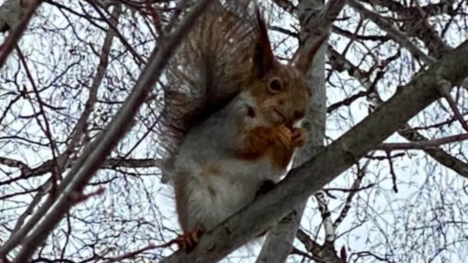 Фото: Дом культуры Электрогорск