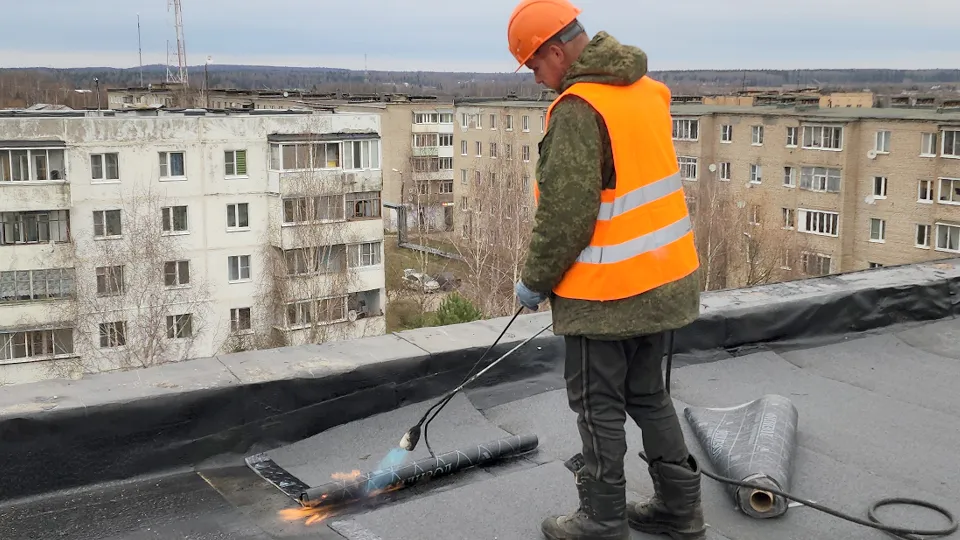 Фото: МедиаБанк Подмосковья/Екатерина Данилина