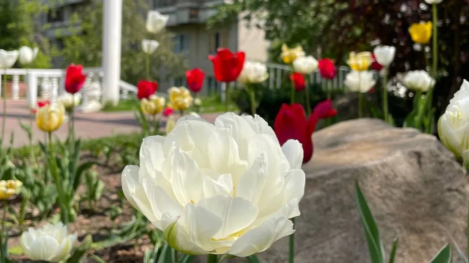 Фото: ТВ «Угреша»