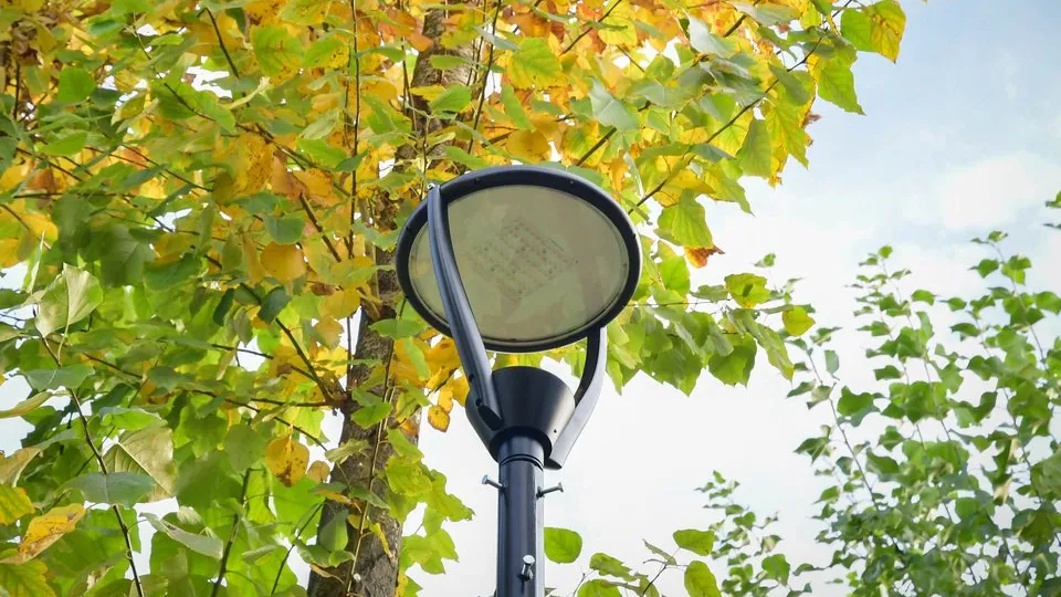 Фото: REGIONS/Наталья Бычкова