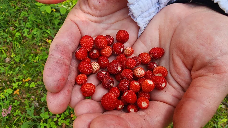 Фото: МедиаБанк Подмосковья/Михаил Мартыненко