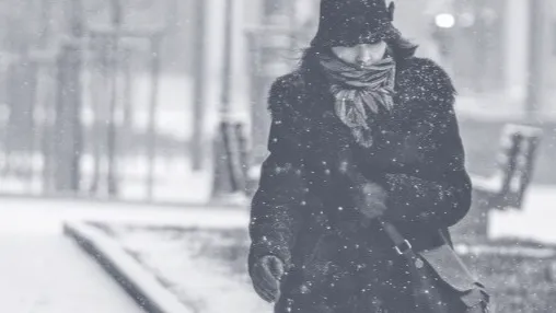 Фото: pxhere.com