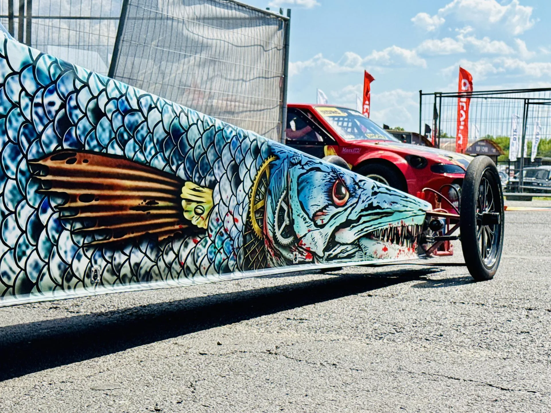 Фото: Ольга Стаферова