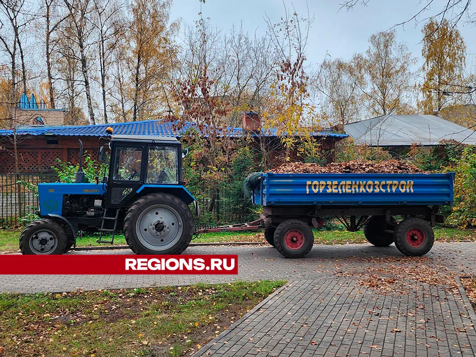 Фото: Роман Савельев