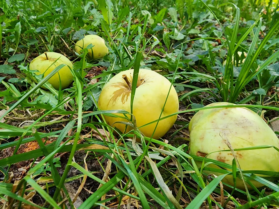 Фото: МедиаБанк Подмосковья/Мария Даньшина