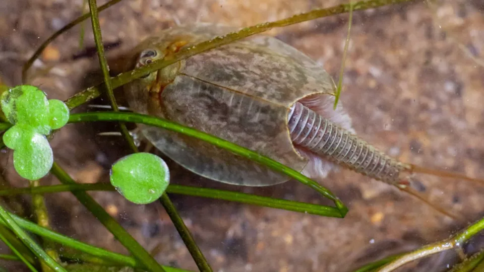 Фото: Владимир Шленсков