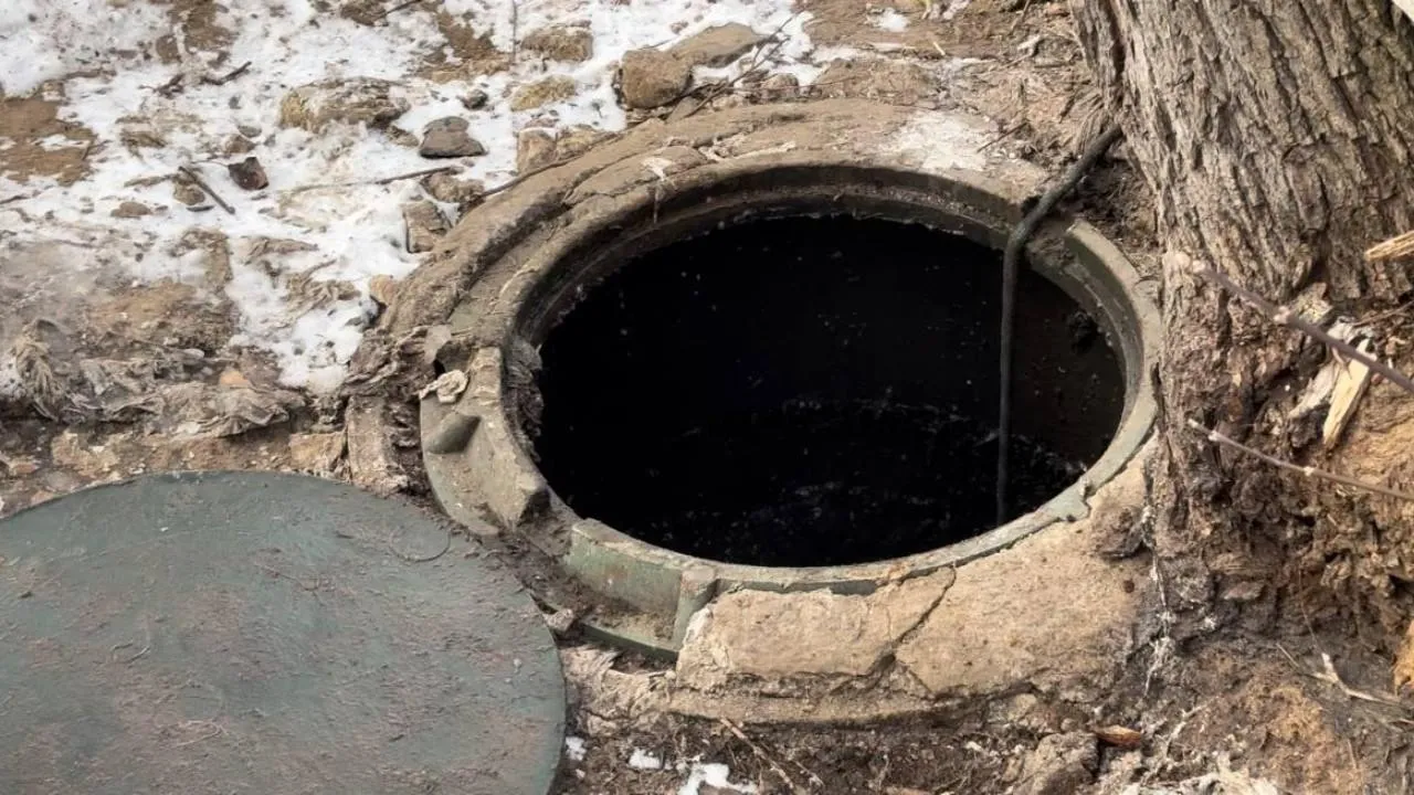 МедиаБанк Подмосковья/Светлана Плотникова